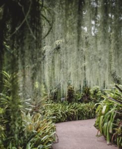 botanical garden path